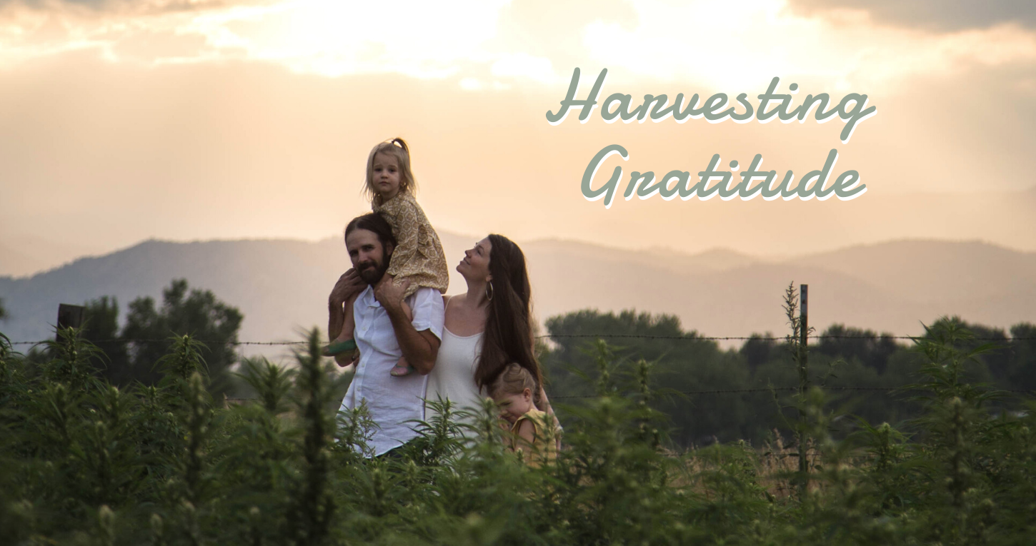 Harvesting Gratitude