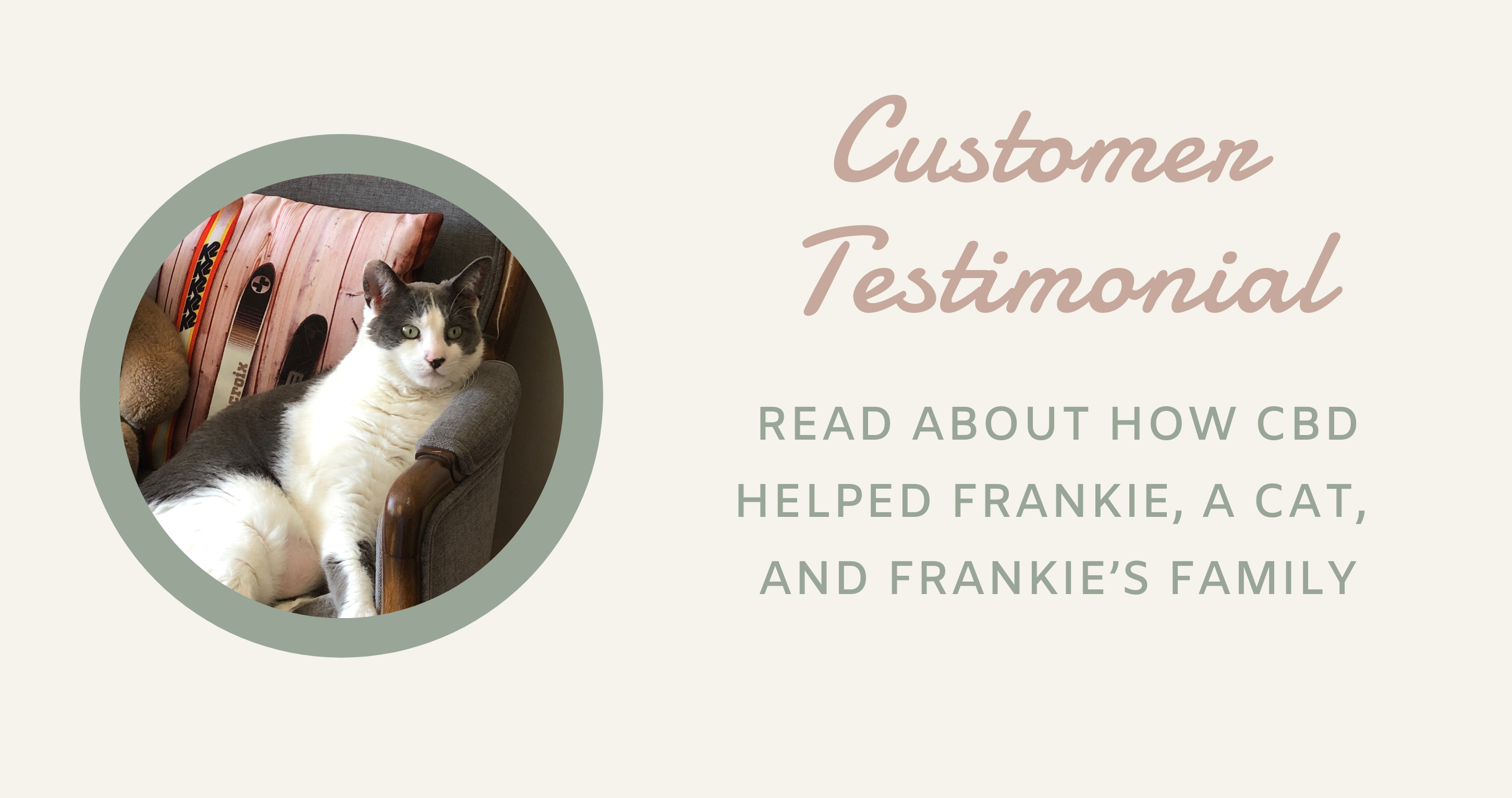 How CBD Helped Frankie, a Cat, and Frankie’s Family