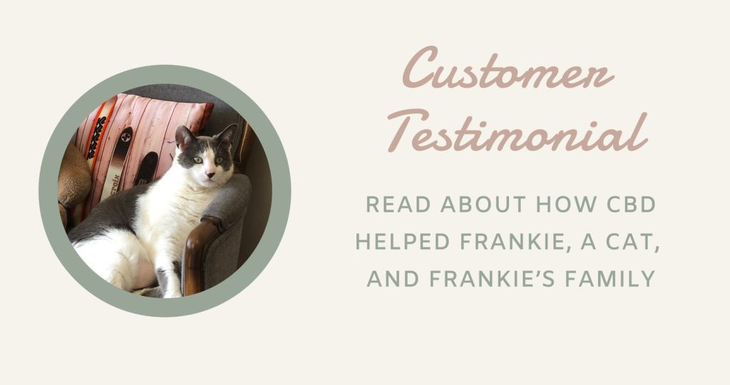 Frankie the cat lounging in an armchair, with the words Customer Testimonial