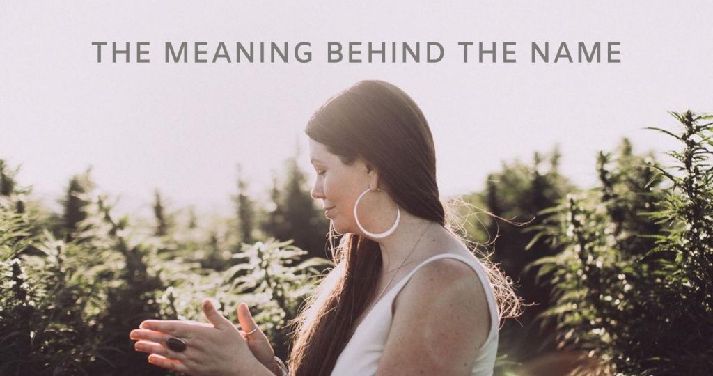 Jessica among hemp plants in soft sunlight, with the words The Meaning Behind the Name